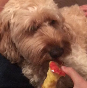 Meet your Posher, Nate